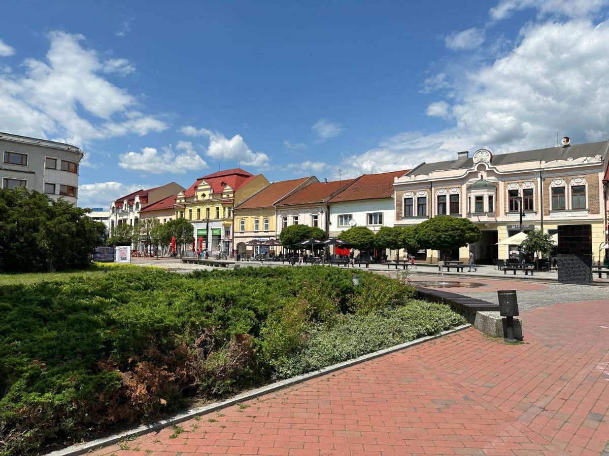 Green Apartment - City Centre - Main Square Liptovský Mikuláš Exteriör bild